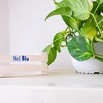 Casa Nel Blu SantʼAlessio Siculo